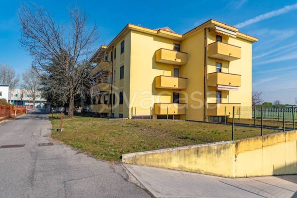 immagine annuncio 0 di 15