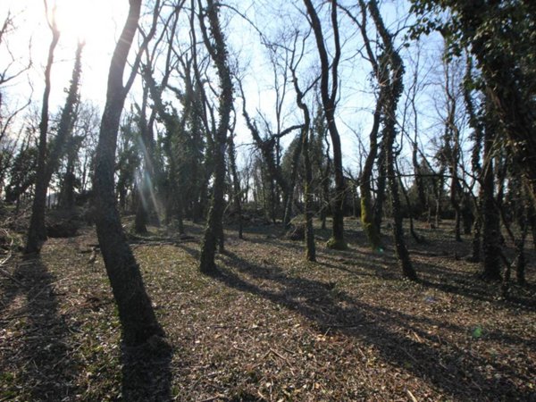 terreno agricolo in vendita a Legnano