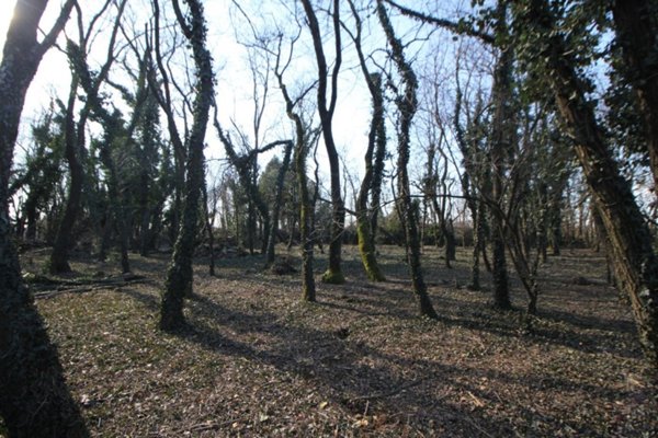 terreno agricolo in vendita a Legnano