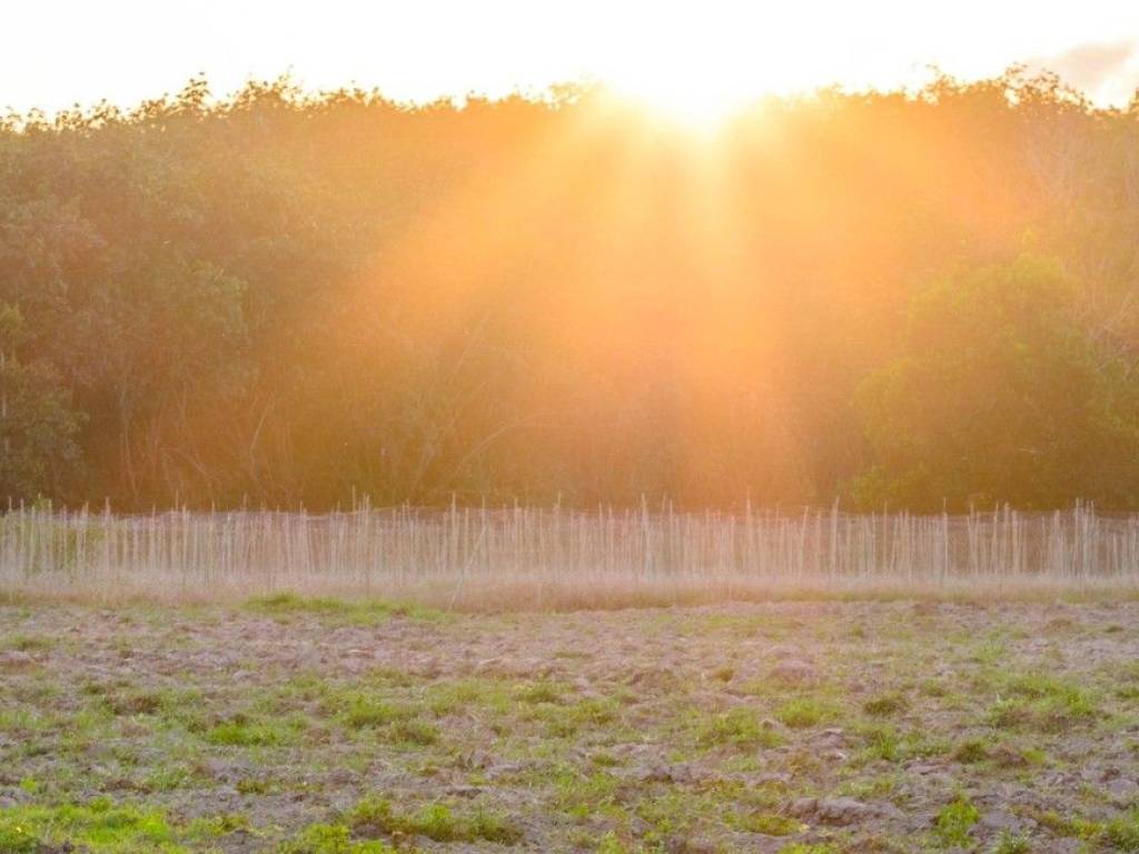 terreno agricolo in vendita a Legnano