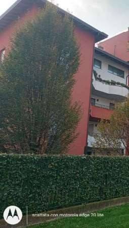 appartamento in vendita a Legnano