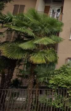 appartamento in vendita a Legnano