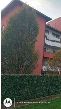 appartamento in vendita a Legnano