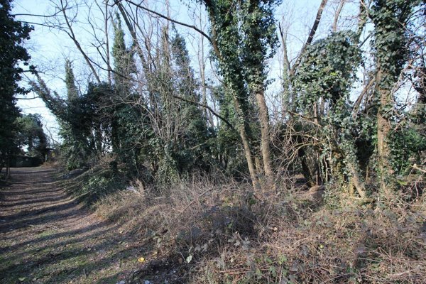terreno agricolo in vendita a Legnano