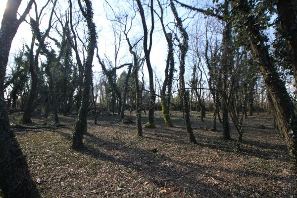 terreno agricolo in vendita a Legnano