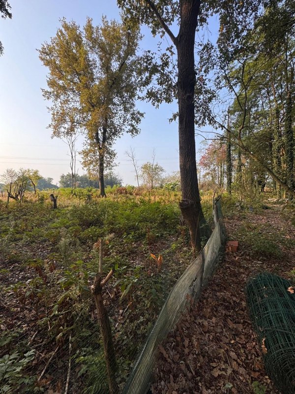 terreno in vendita a Legnano