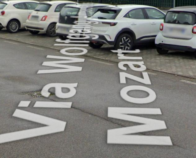 pentavano in vendita a Liscate