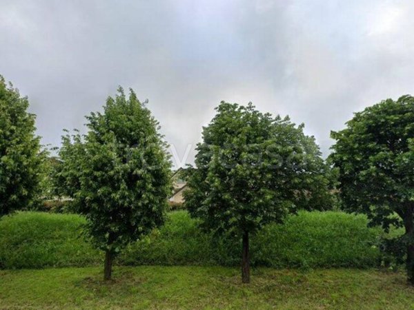 terreno edificabile in vendita a Liscate
