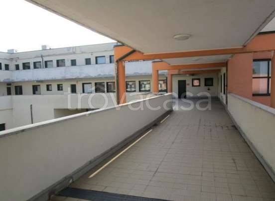 immagine annuncio 0 di 1