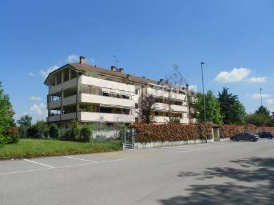 box auto in vendita a Magenta