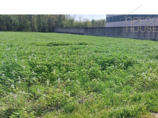 terreno agricolo in vendita a Magnago