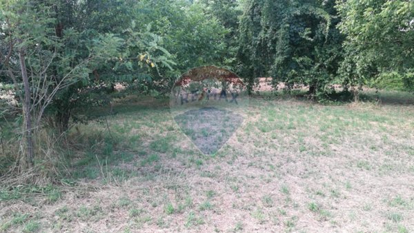 terreno agricolo in vendita a Magnago