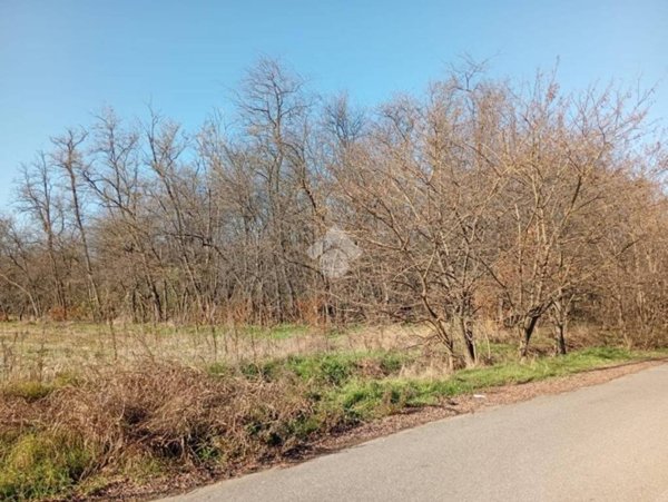 terreno agricolo in vendita a Magnago in zona Bienate