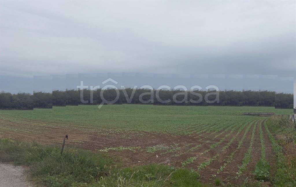terreno in vendita a Magnago