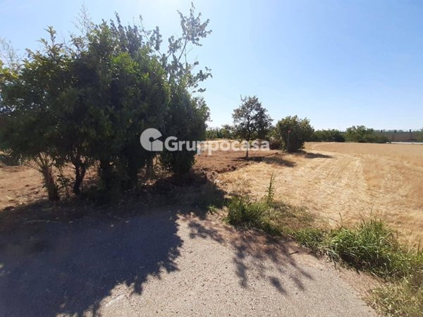terreno edificabile in vendita a Marcallo con Casone in zona Marcallo