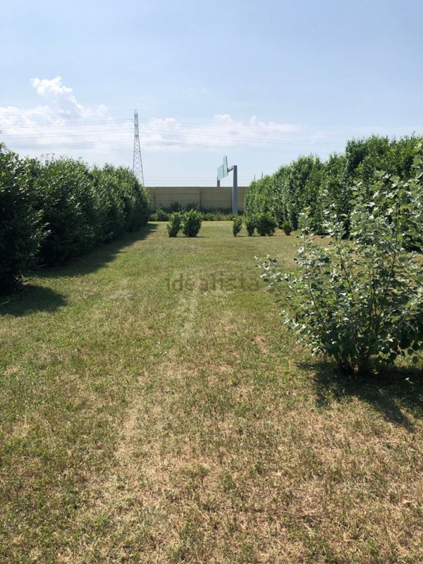 terreno agricolo in vendita a Marcallo con Casone in zona Marcallo