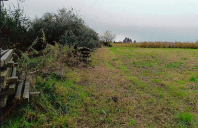 terreno edificabile in vendita a Marcallo con Casone