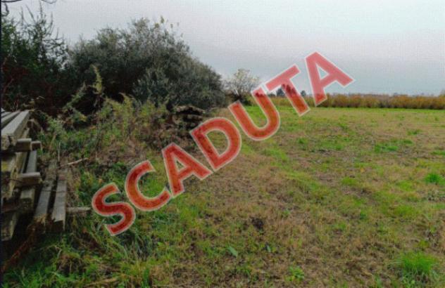 terreno edificabile in vendita a Marcallo con Casone