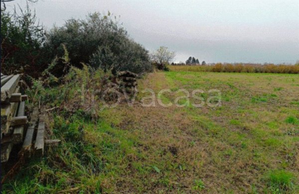 terreno edificabile in vendita a Marcallo con Casone in zona Marcallo