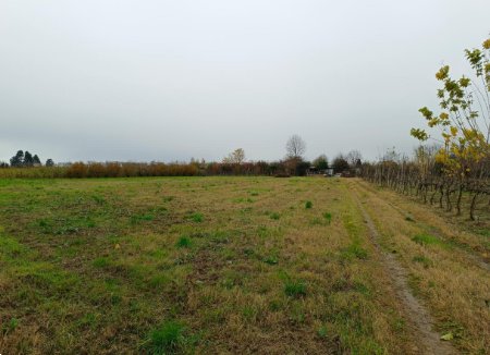 terreno agricolo in vendita a Marcallo con Casone