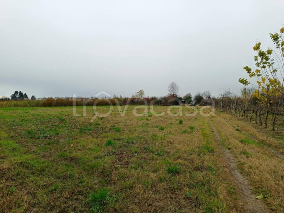 ufficio in vendita a Marcallo con Casone in zona Marcallo