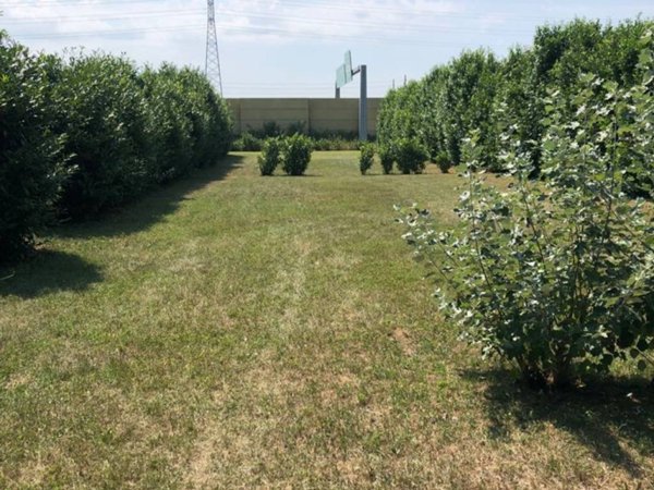 terreno agricolo in vendita a Marcallo con Casone in zona Casone