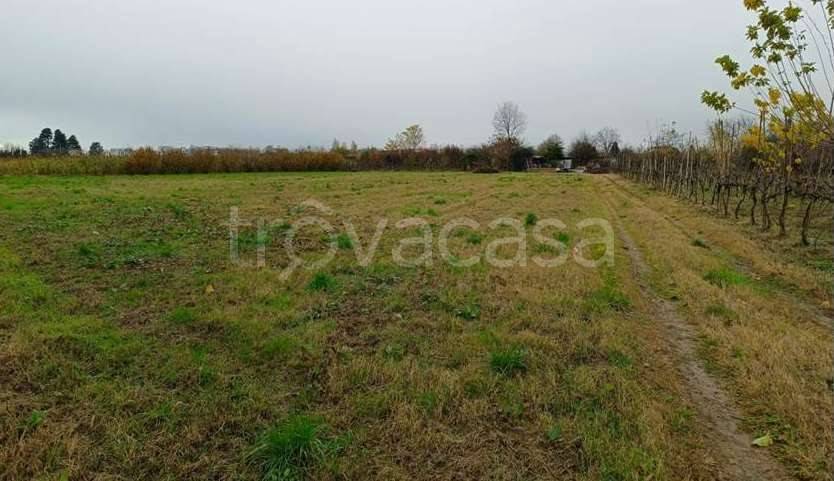 terreno in vendita a Marcallo con Casone