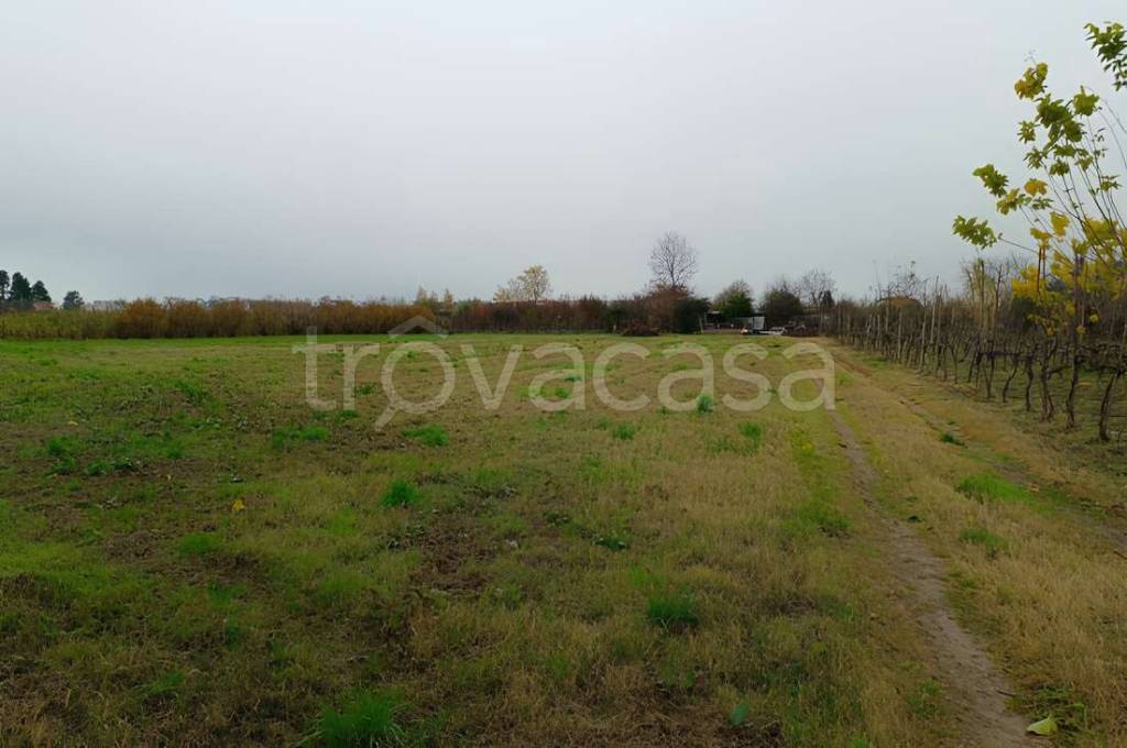 appartamento in vendita a Marcallo con Casone