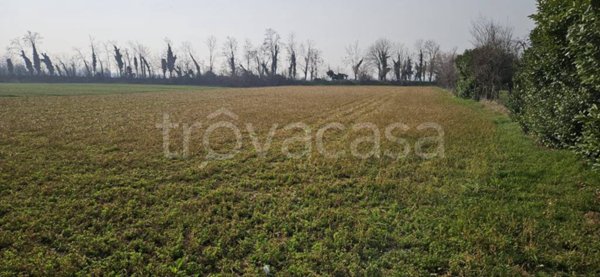 terreno agricolo in vendita a Masate