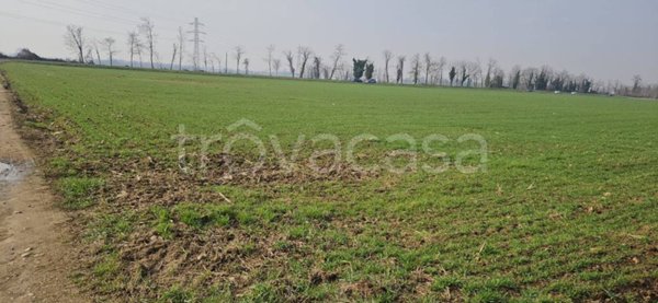 terreno agricolo in vendita a Masate