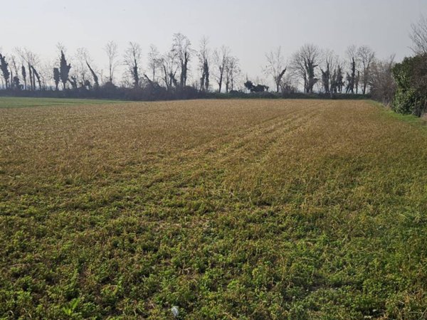 terreno agricolo in vendita a Masate