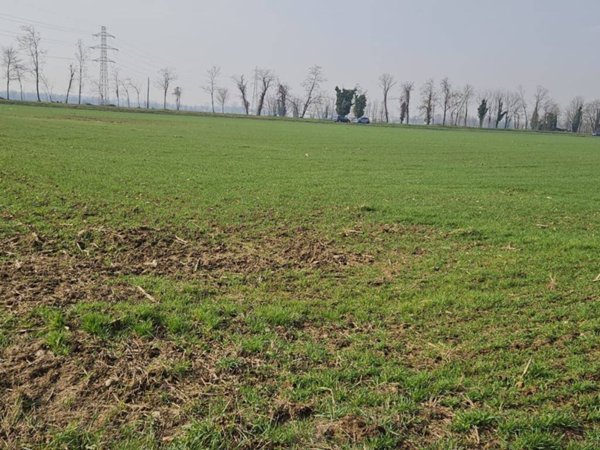 terreno agricolo in vendita a Masate