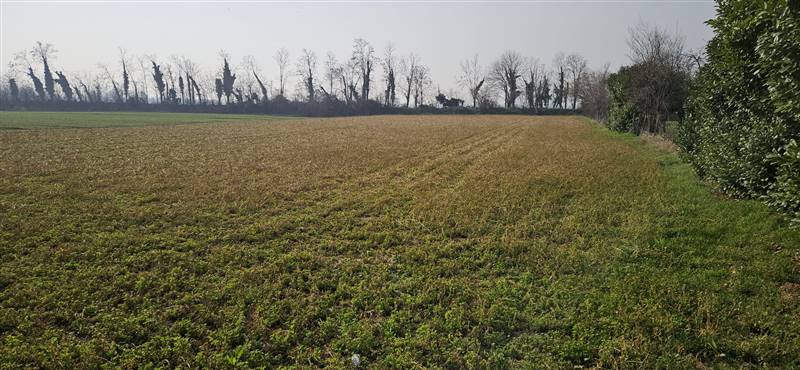 terreno agricolo in vendita a Masate