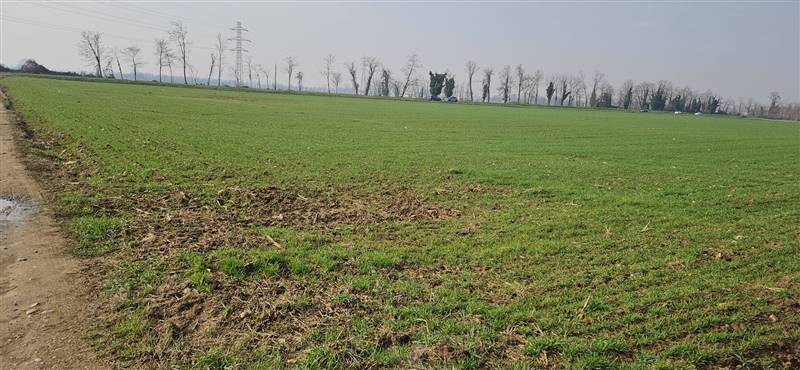 terreno agricolo in vendita a Masate