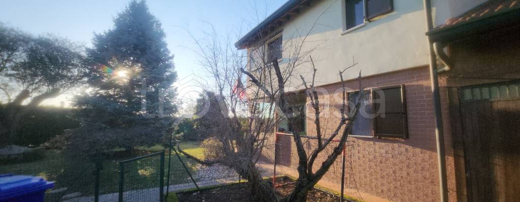 immagine annuncio 0 di 15