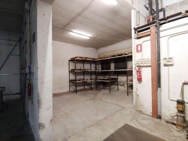 immagine annuncio 0 di 1