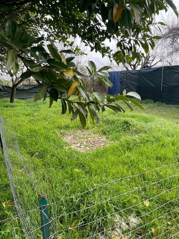 terreno agricolo in vendita a Melegnano