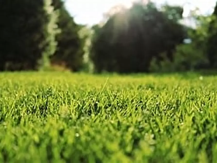 terreno agricolo in vendita a Melzo