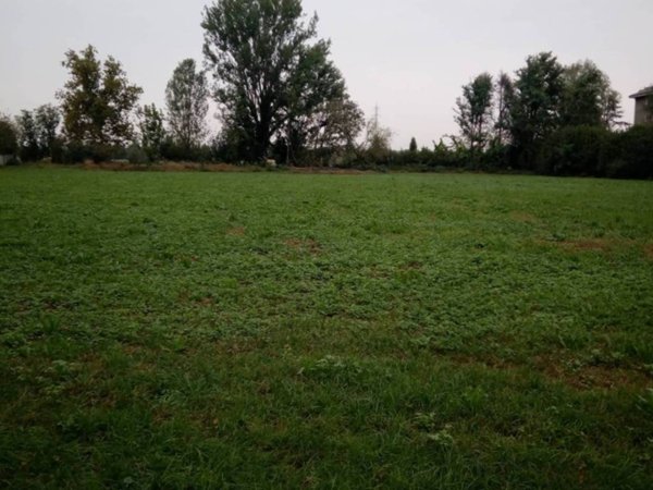 terreno agricolo in vendita a Melzo
