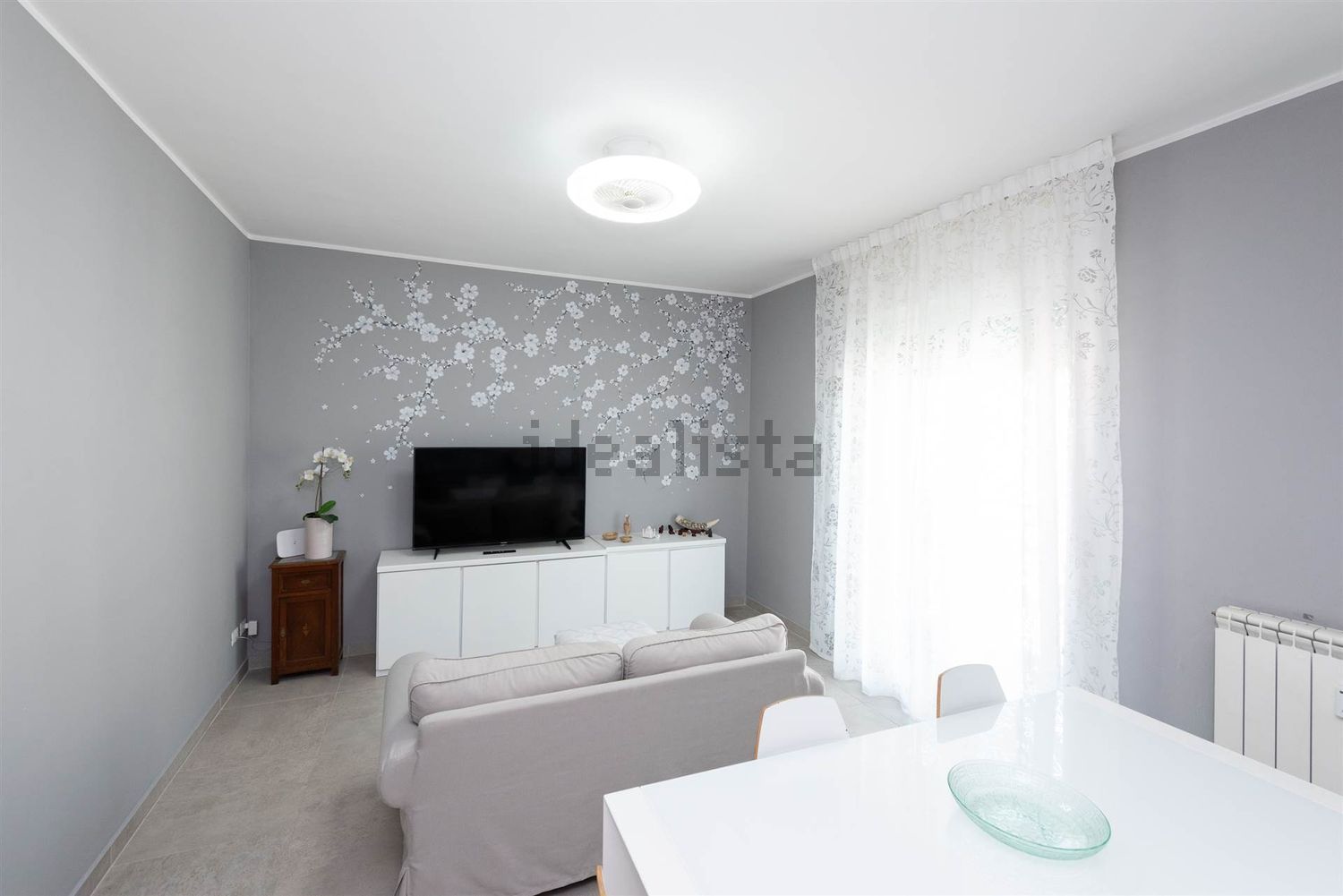 immagine annuncio 0 di 1