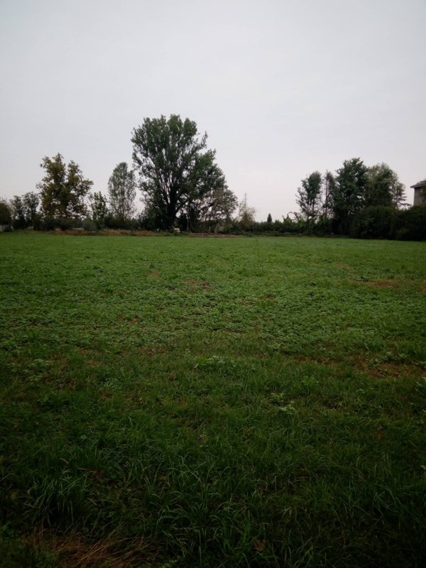 casa indipendente in vendita a Melzo