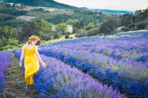 ufficio in vendita a Melzo