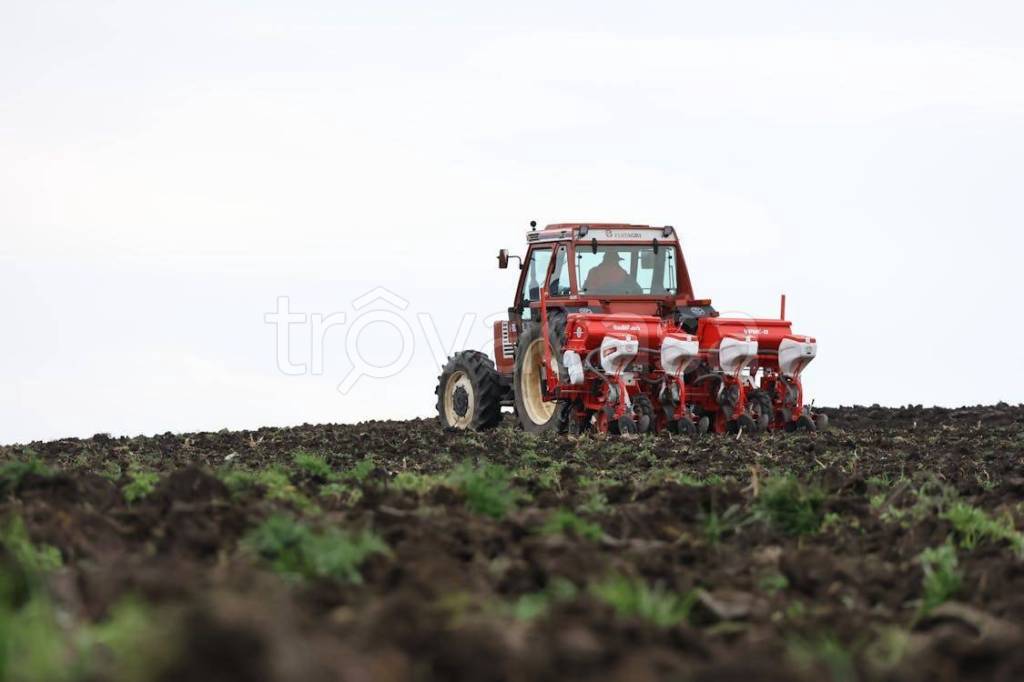 terreno agricolo in vendita a Melzo