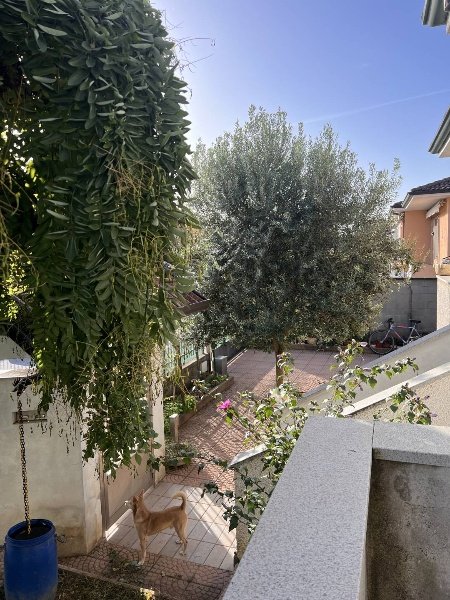 casa indipendente in vendita a Mesero