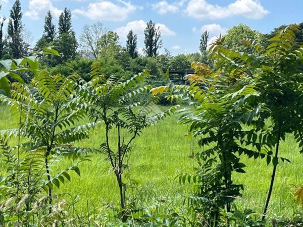 terreno agricolo in vendita a Milano in zona Chiesa Rossa