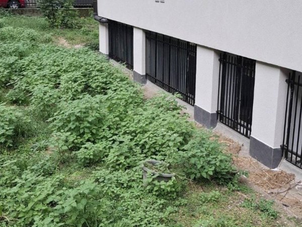 negozio in vendita a Milano in zona San Siro