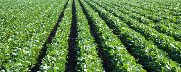 azienda agricola in vendita a Milano