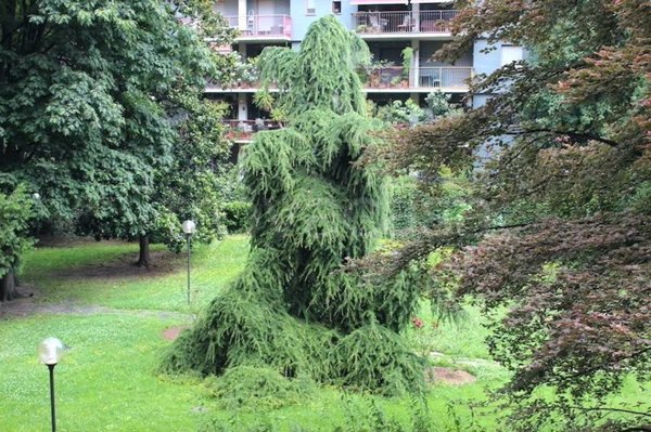 appartamento in vendita a Milano in zona Ghisolfa