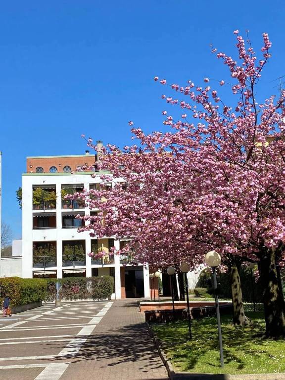 appartamento in vendita a Milano in zona Chiesa Rossa