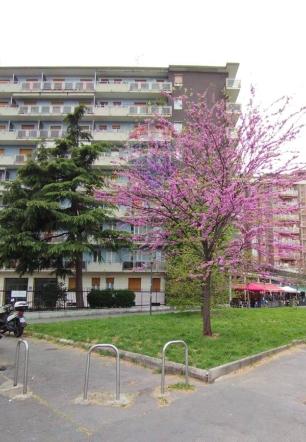 appartamento in vendita a Milano in zona San Siro